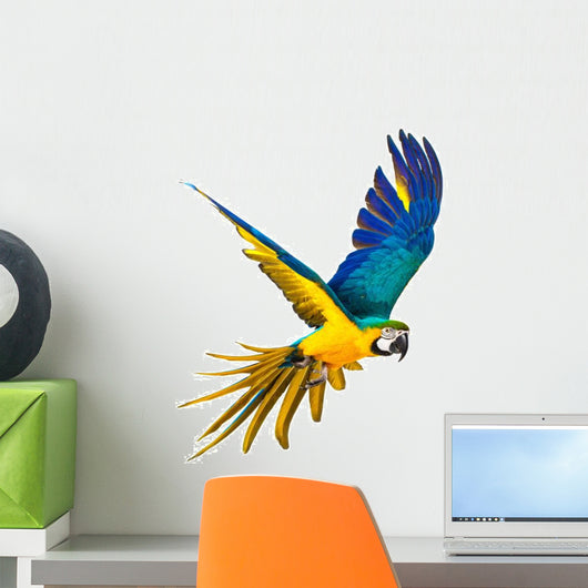 Colourful Flying Parrot White