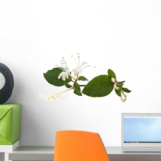 honeysuckle flower Wall Decal