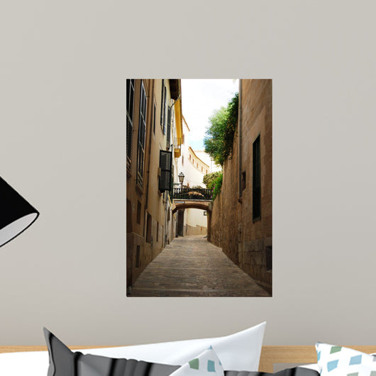 Historic Street Palma