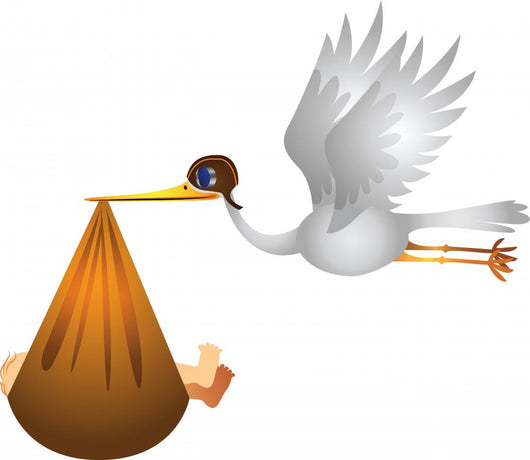 Baby Stork Birthday Wall Decal