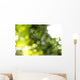 Nephila pilipes spider Wall Mural