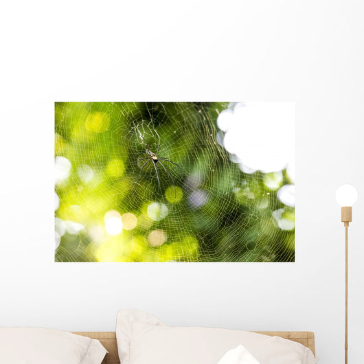 Nephila pilipes spider Wall Mural