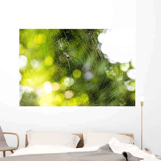 Nephila pilipes spider Wall Mural