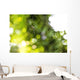Nephila pilipes spider Wall Mural