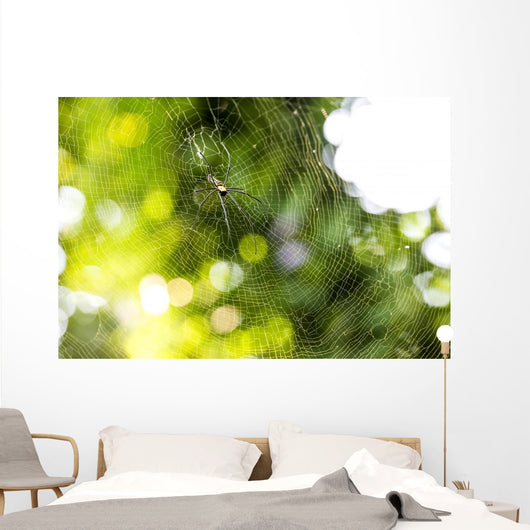 Nephila pilipes spider Wall Mural