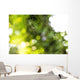Nephila pilipes spider Wall Mural