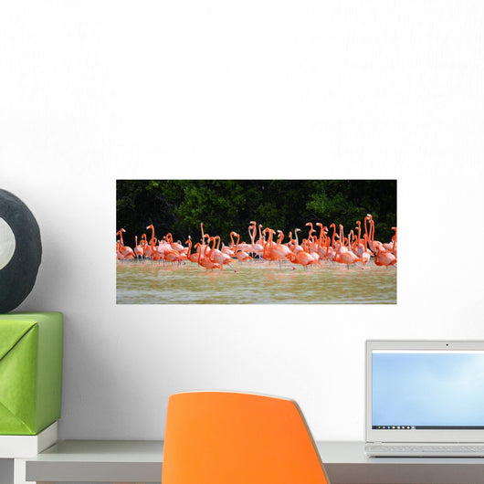 pink flamingos Wall Mural
