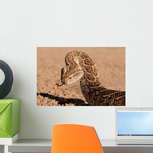 Puff adder snake Wall Mural