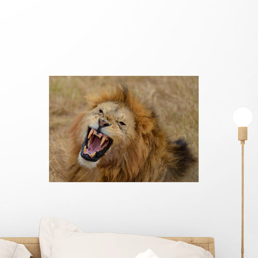 Roaring Lion Wall Mural