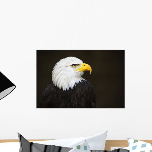 Bald headed eagle Wall Mural