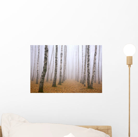 Pathway in mist birch grove Wall Mural