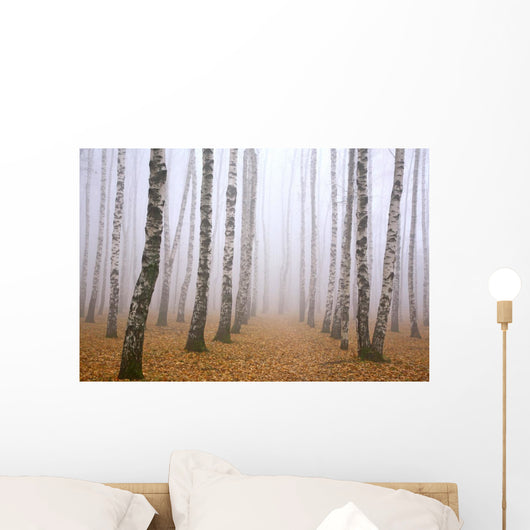 Pathway in mist birch grove Wall Mural