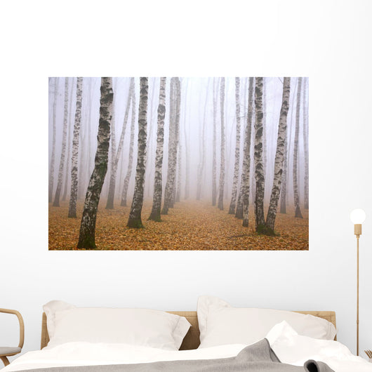 Pathway in mist birch grove Wall Mural
