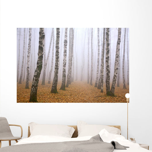 Pathway in mist birch grove Wall Mural