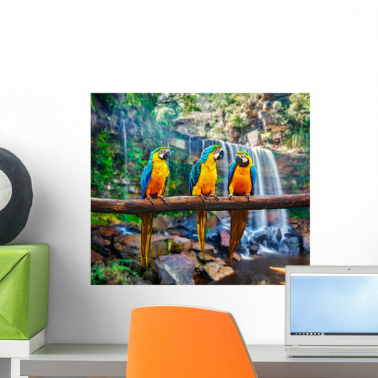 Blue-and-Yellow Macaw Ara ararauna Wall Mural