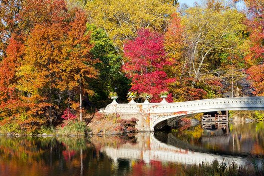 Central Park Bridge Fall Wall Decal