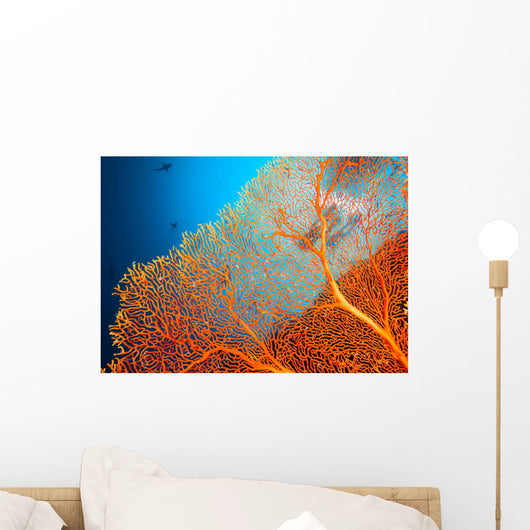 Couple of scuba divers on coral reef Wall Mural