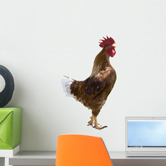 Rooster Gallo Wall Decal
