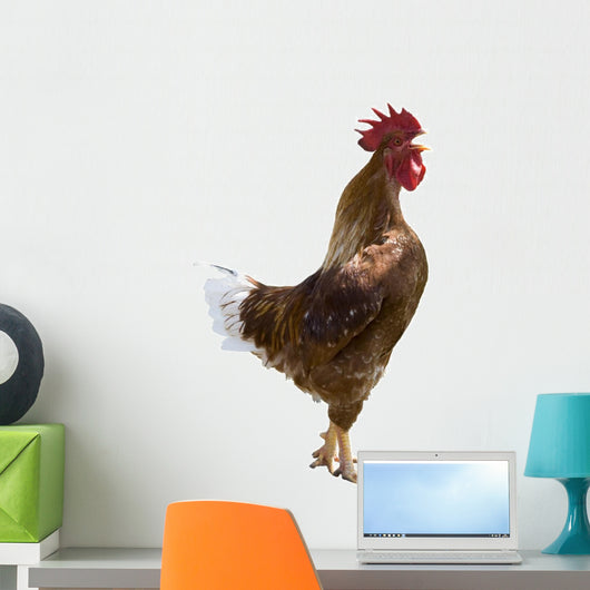 Rooster Gallo Wall Decal