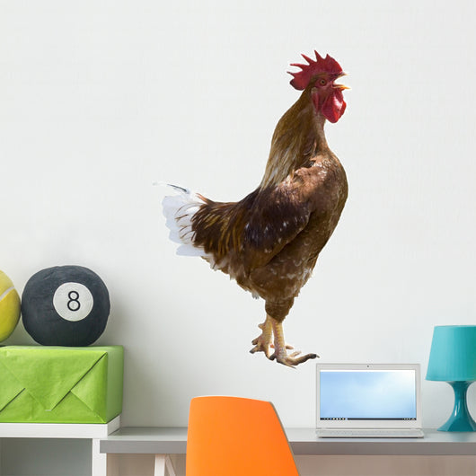 Rooster Gallo Wall Decal