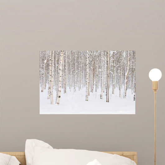 Winter Trees