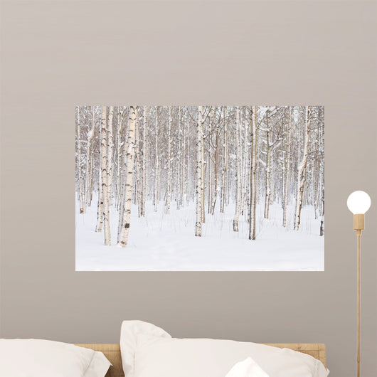Winter Trees