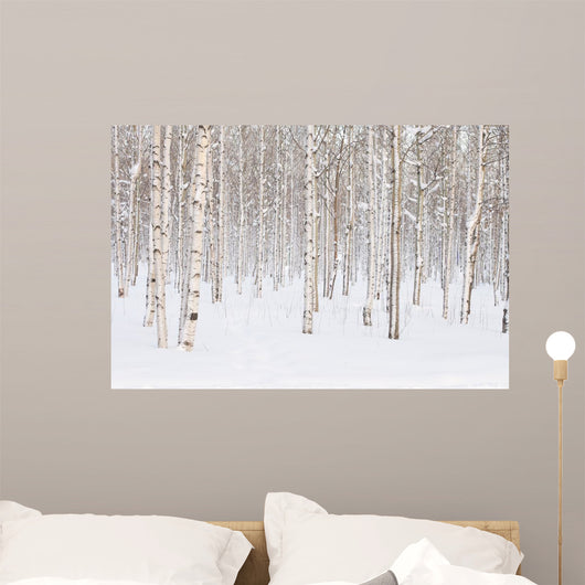 Winter Trees