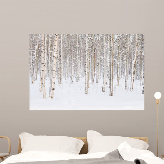 Winter Trees