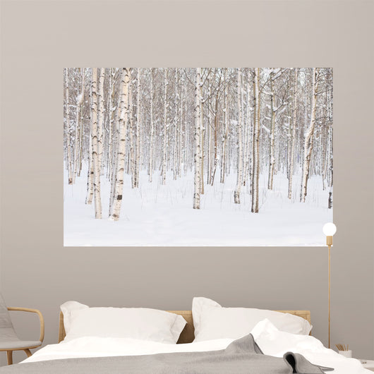 Winter Trees