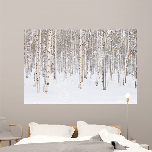 Winter Trees