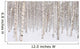 Winter Trees