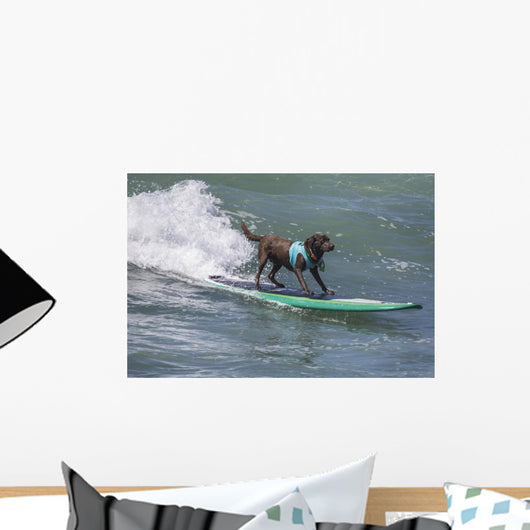 Surf Dog