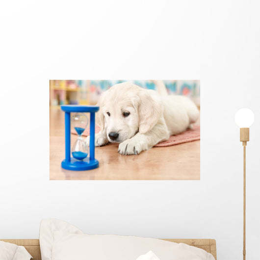 labrador retriever puppy Wall Mural