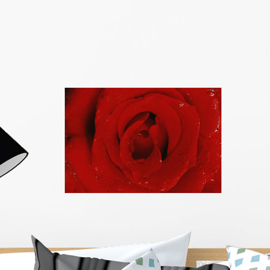 Red Rose Wall Mural