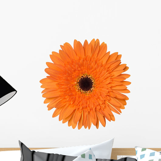 Orange Gerbera Flower