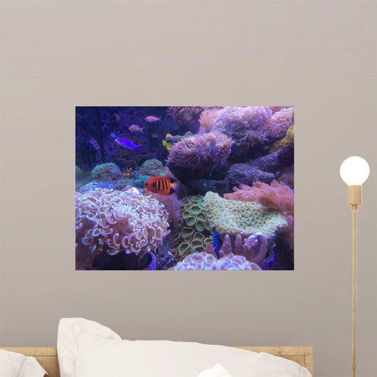 mini sea in fish tank Wall Mural