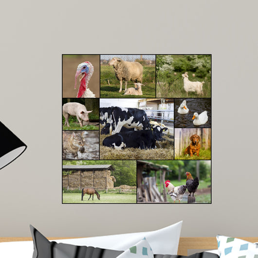 Domestic animals Wall Mural