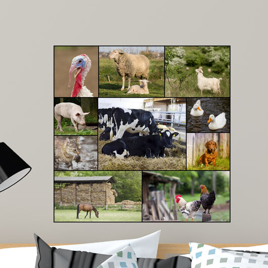 Domestic animals Wall Mural
