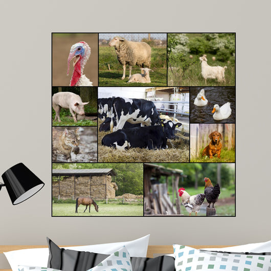 Domestic animals Wall Mural