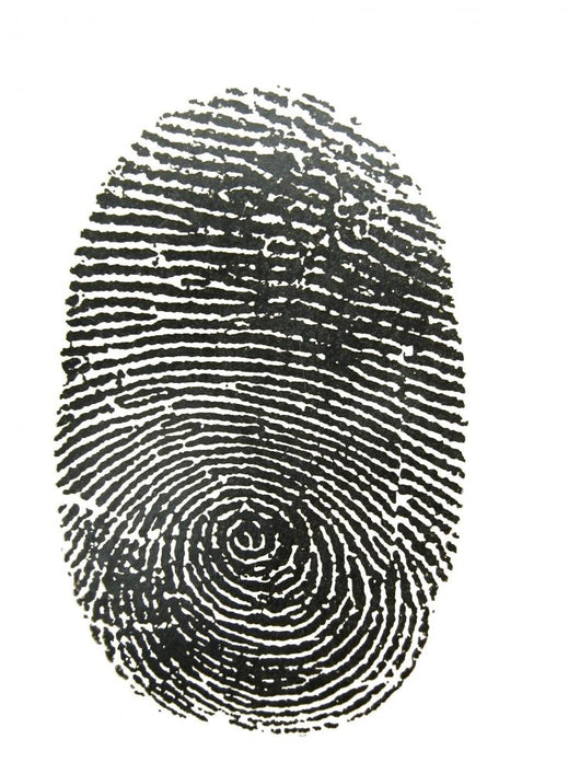 Finger Print Wall Decal