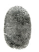 Finger Print Wall Decal