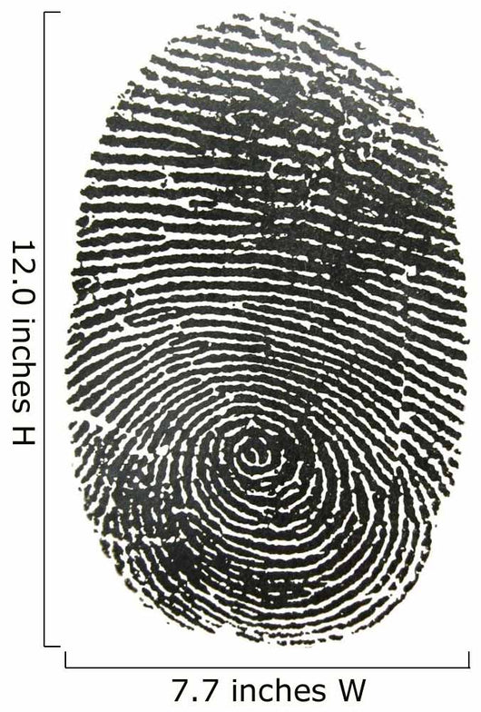 Finger Print Wall Decal