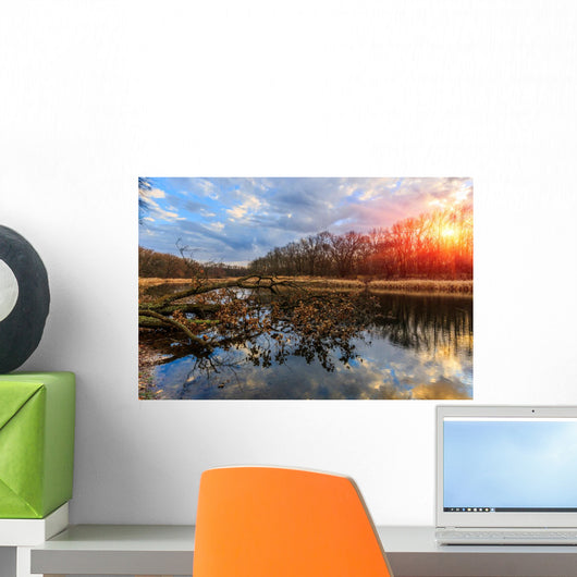 Evening Old Lake Wall Decal