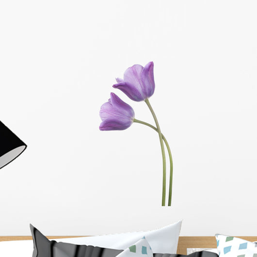 Tulip