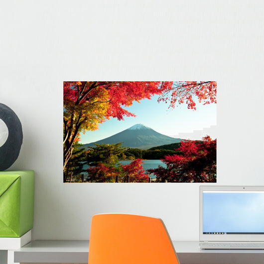 Mt Fuji