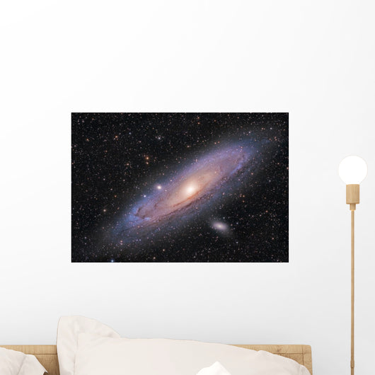 Andromeda Galaxy Wall Mural