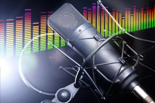 Equalizer Pegel mit Studio Mikrofon Wall Mural