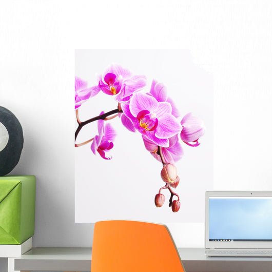 Pink Orchid Wall Decal
