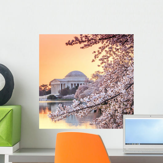 Jefferson Memorial Blossom Wall Mural