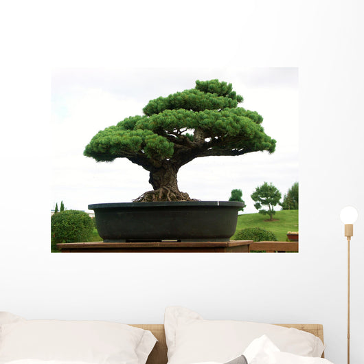 bonsaï Wall Mural